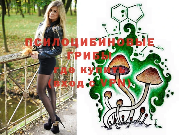 PSILOCYBIN Вязники